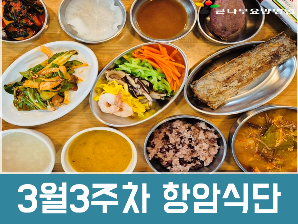 2025년 3월3주차 항암식단