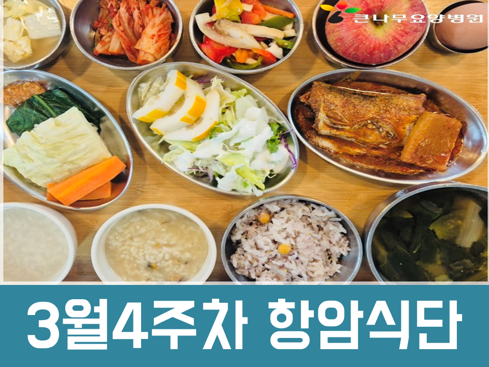 2025년 3월4주차 항암식단