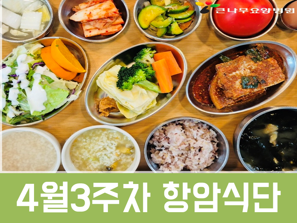 2025년 4월3주차 항암식단