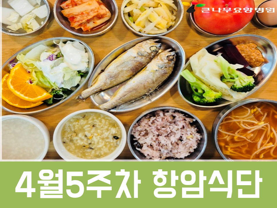 2025년 4월5주차 항암식단
