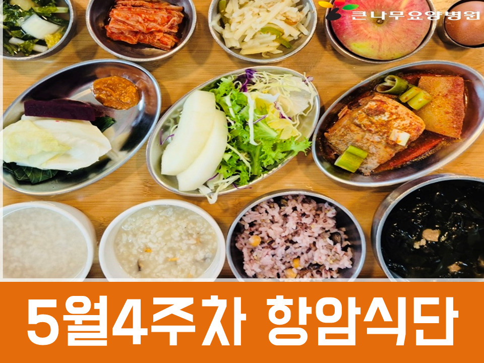 2025년 5월4주차 항암식단