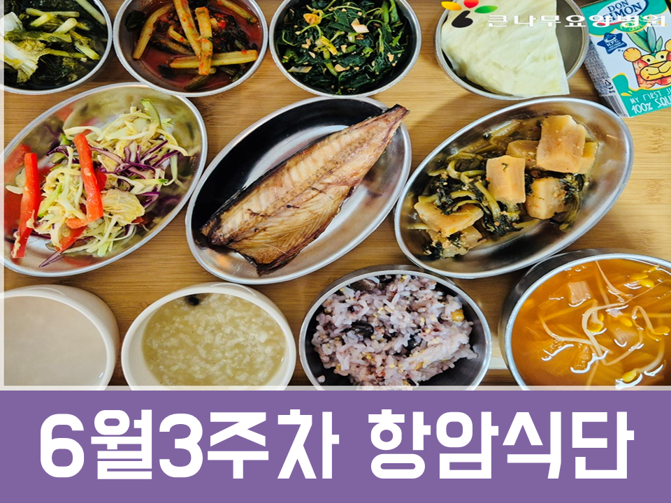 2025년 6월3주차 항암식단