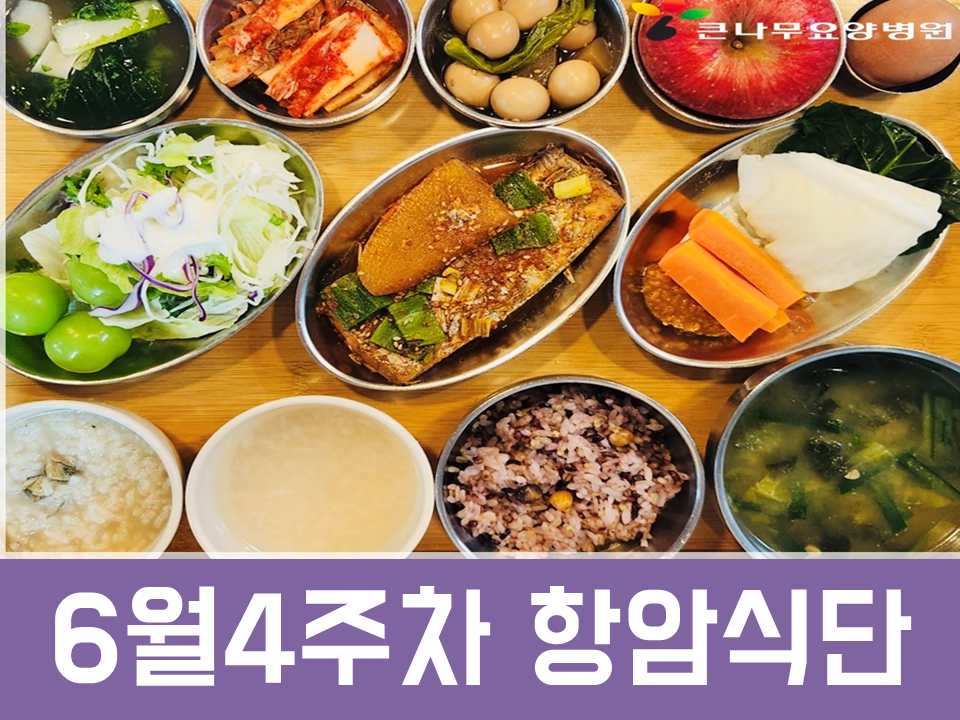 2025년 6월4주차 항암식단
