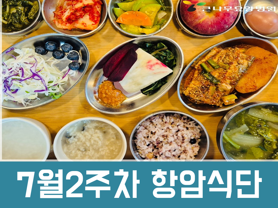 2025년 7월2주차 항암식단