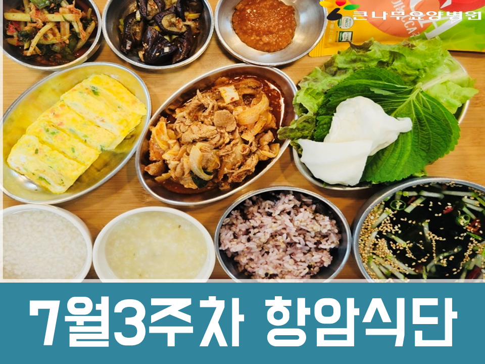 2025년 7월3주차 항암식단
