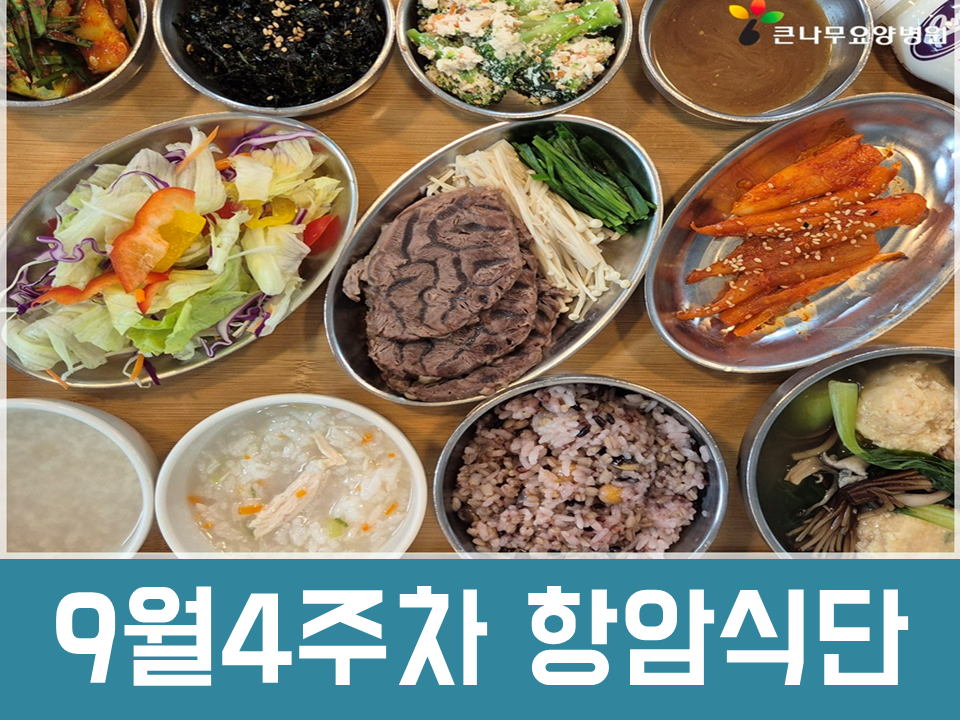 2025년 9월 4주차 항암식단