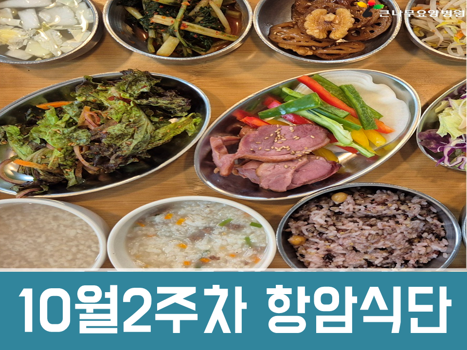 2025년 10월 2주차 항암식단