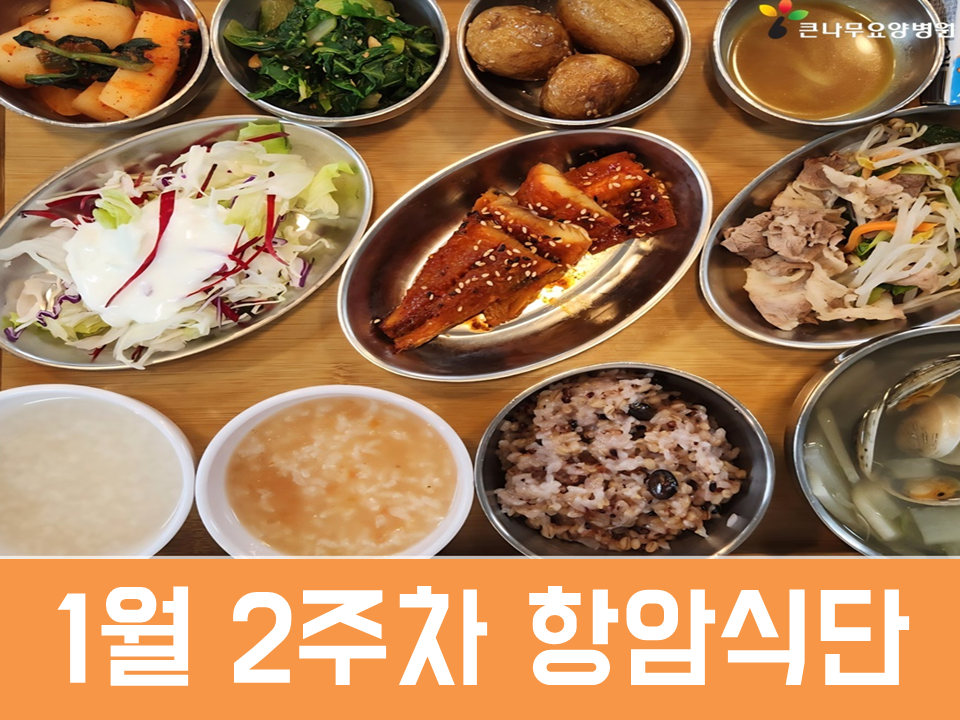 2026년 1월 2주차 항암식단