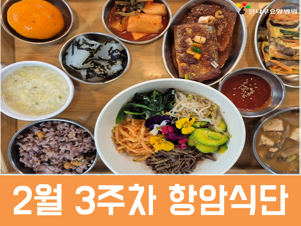 2026년 2월 3주차 항암식단