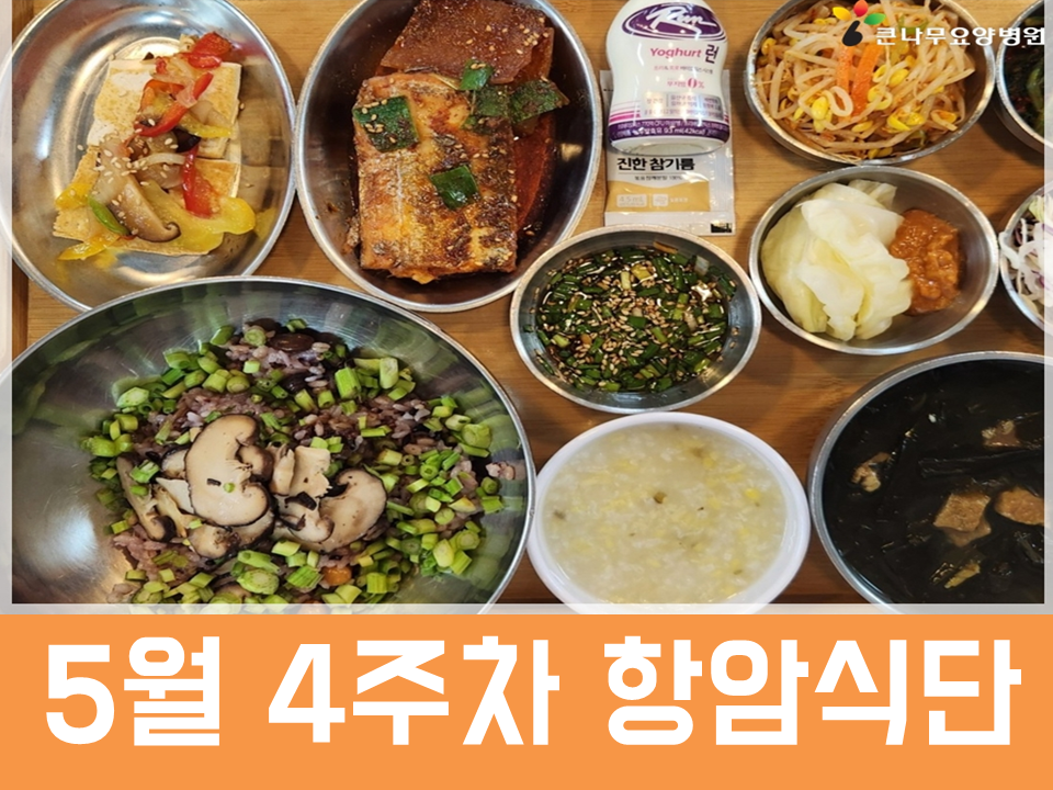 2026년 5월 4주차 항암식단