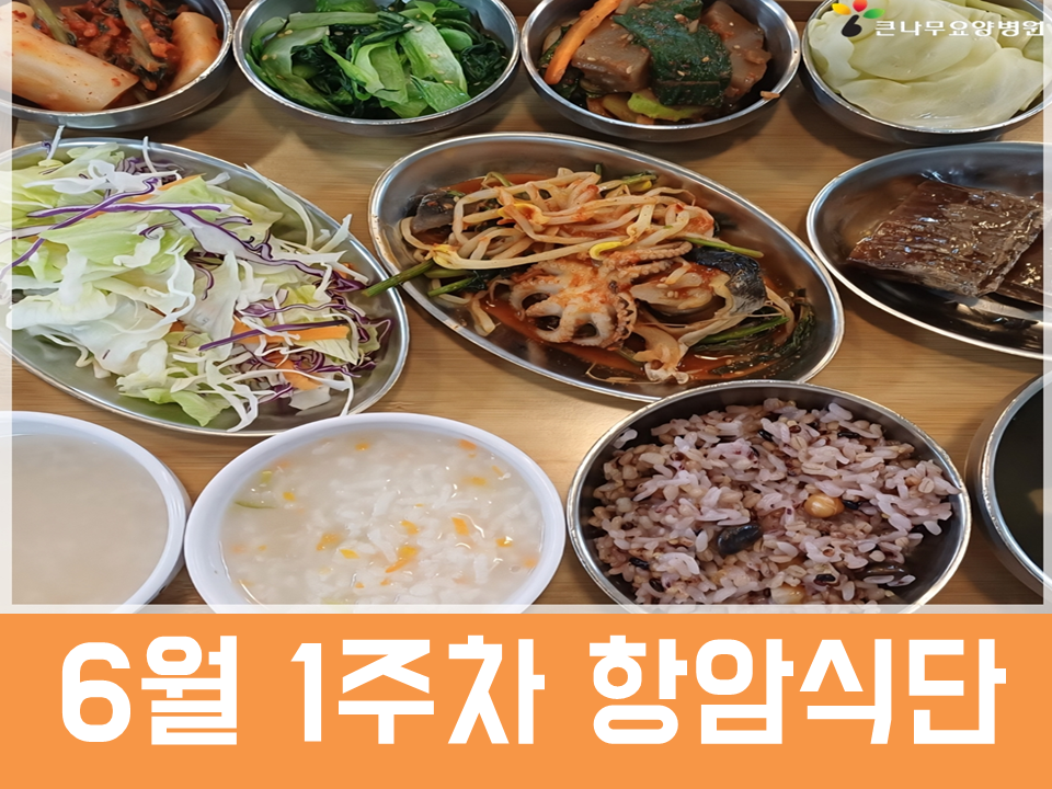 2026년 6월 1주차 항암식단