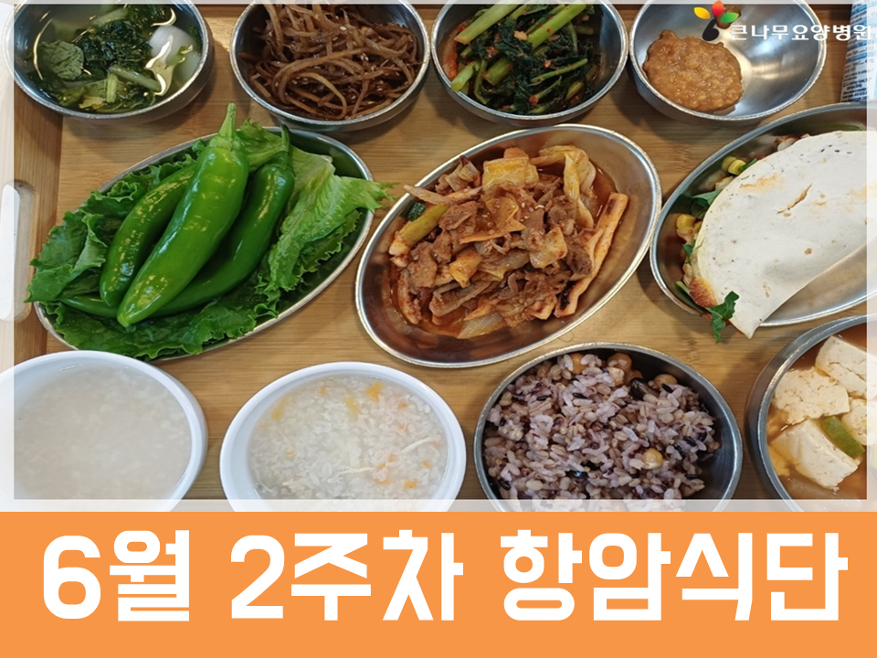 2026년 6월 2주차 항암식단