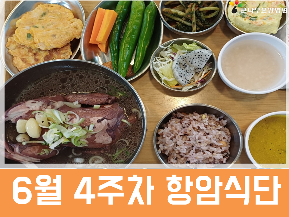 2026년 6월 4주차 항암식단