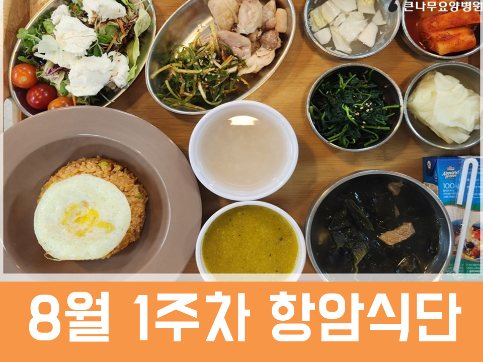 2026년 8월 1주차 항암식단