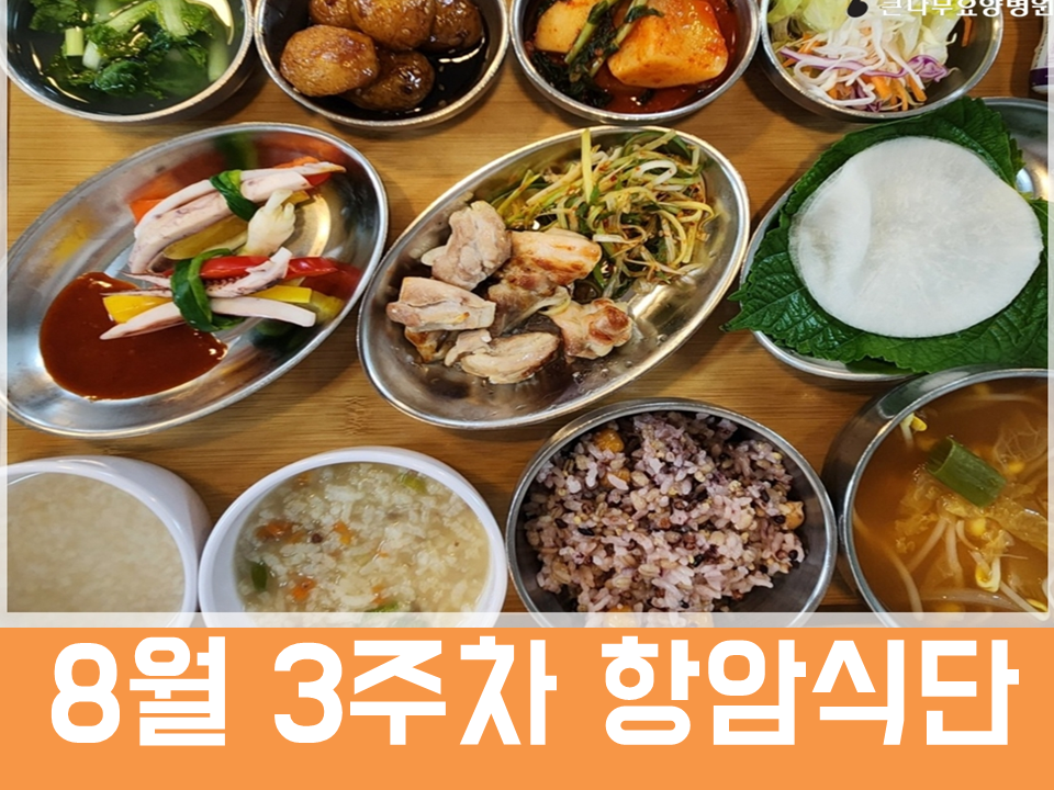 2026년 8월 3주차 항암식단