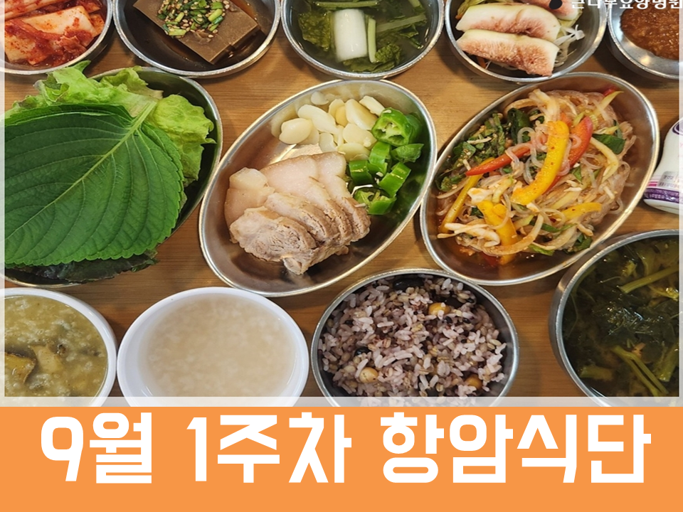 2026년 9월 1주차 항암식단