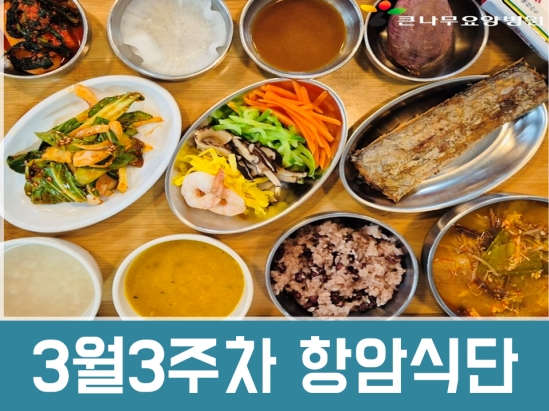 2025년 3월3주차 항암식단