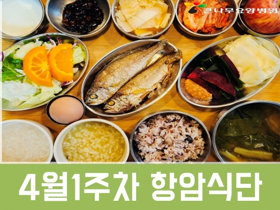 2025년 4월1주차 항암식단