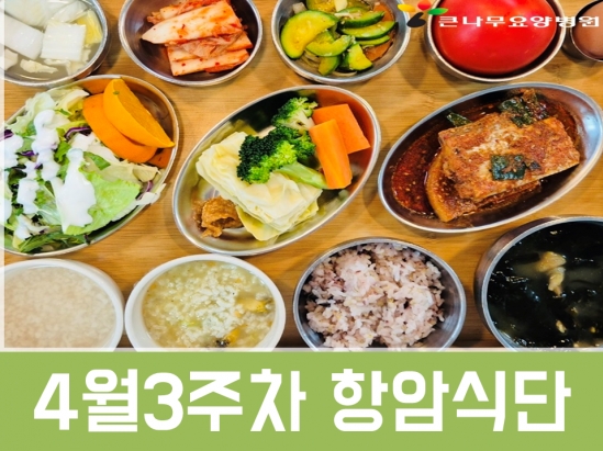 2025년 4월3주차 항암식단