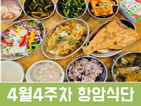 2025년 4월4주차 항암식단