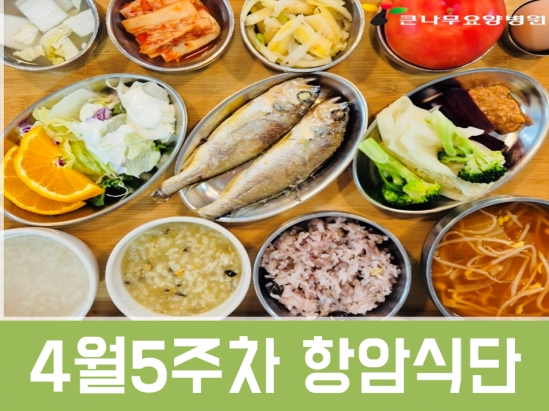 2025년 4월5주차 항암식단