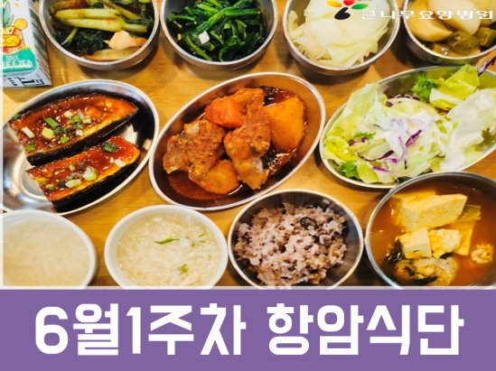 2025년 6월1주차 항암식단