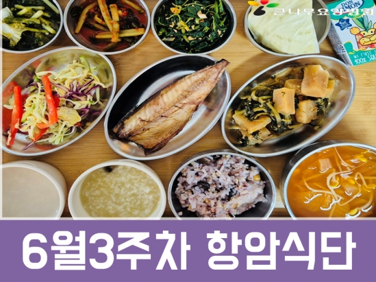 2025년 6월3주차 항암식단
