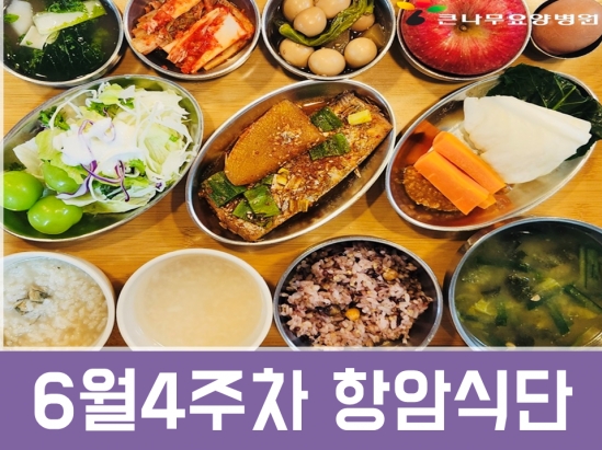 2025년 6월4주차 항암식단