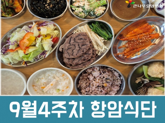 2025년 9월 4주차 항암식단