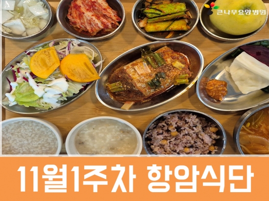 2025년 11월 1주차 항암식단