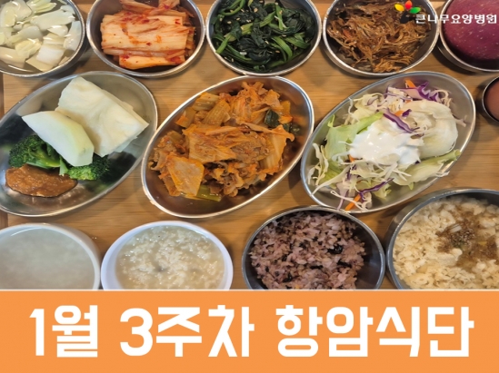 2026년 1월 3주차 항암식단