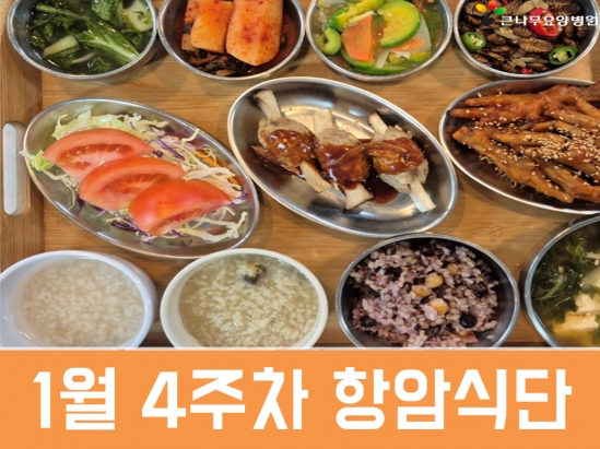 2026년 1월 4주차 항암식단