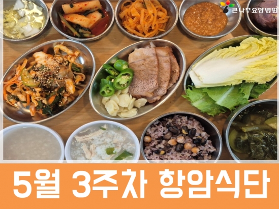 2026년 5월 3주차 항암식단