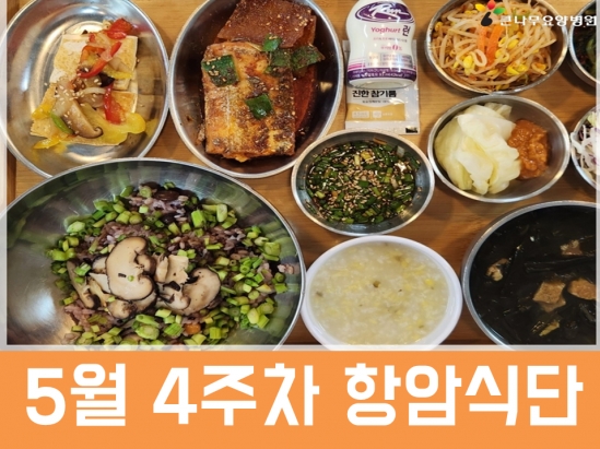 2026년 5월 4주차 항암식단