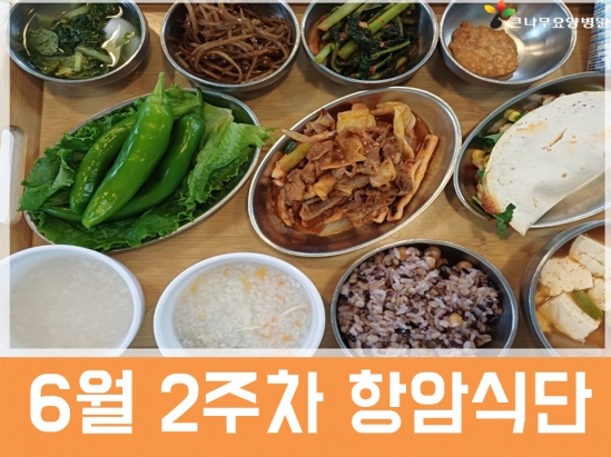2026년 6월 2주차 항암식단