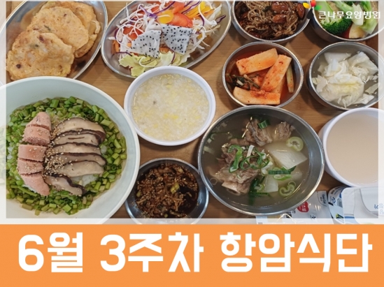 2026년 6월 3주차 항암식단