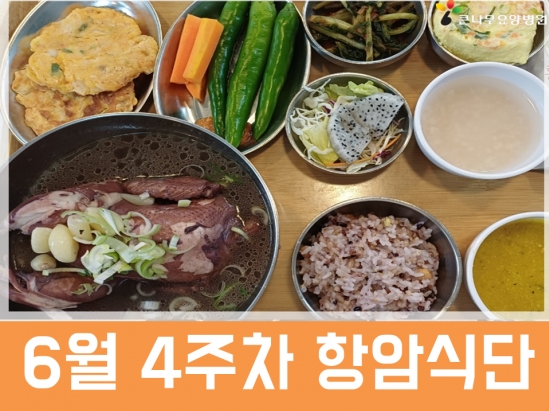 2026년 6월 4주차 항암식단