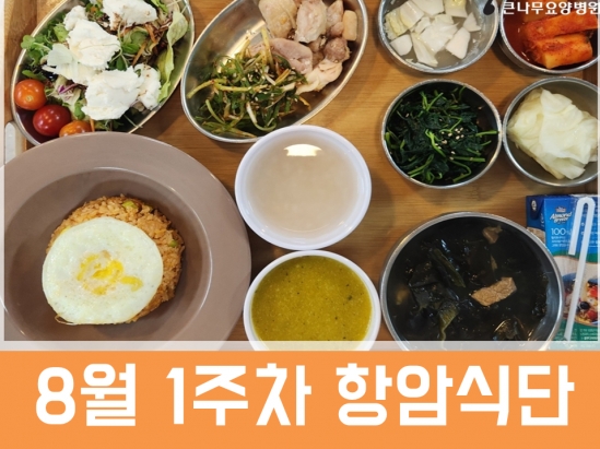 2026년 8월 1주차 항암식단