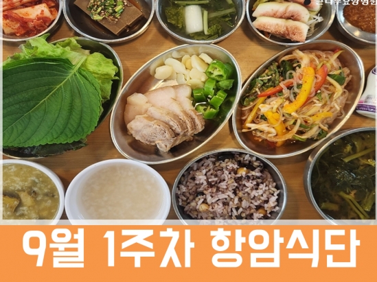 2026년 9월 1주차 항암식단